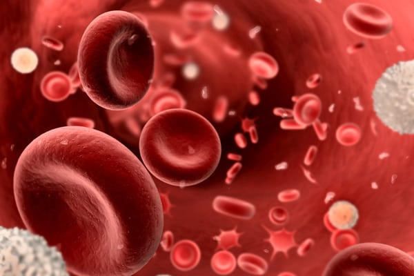 Норма холестерина в сыворотке крови: какой уровень считается повышенным?